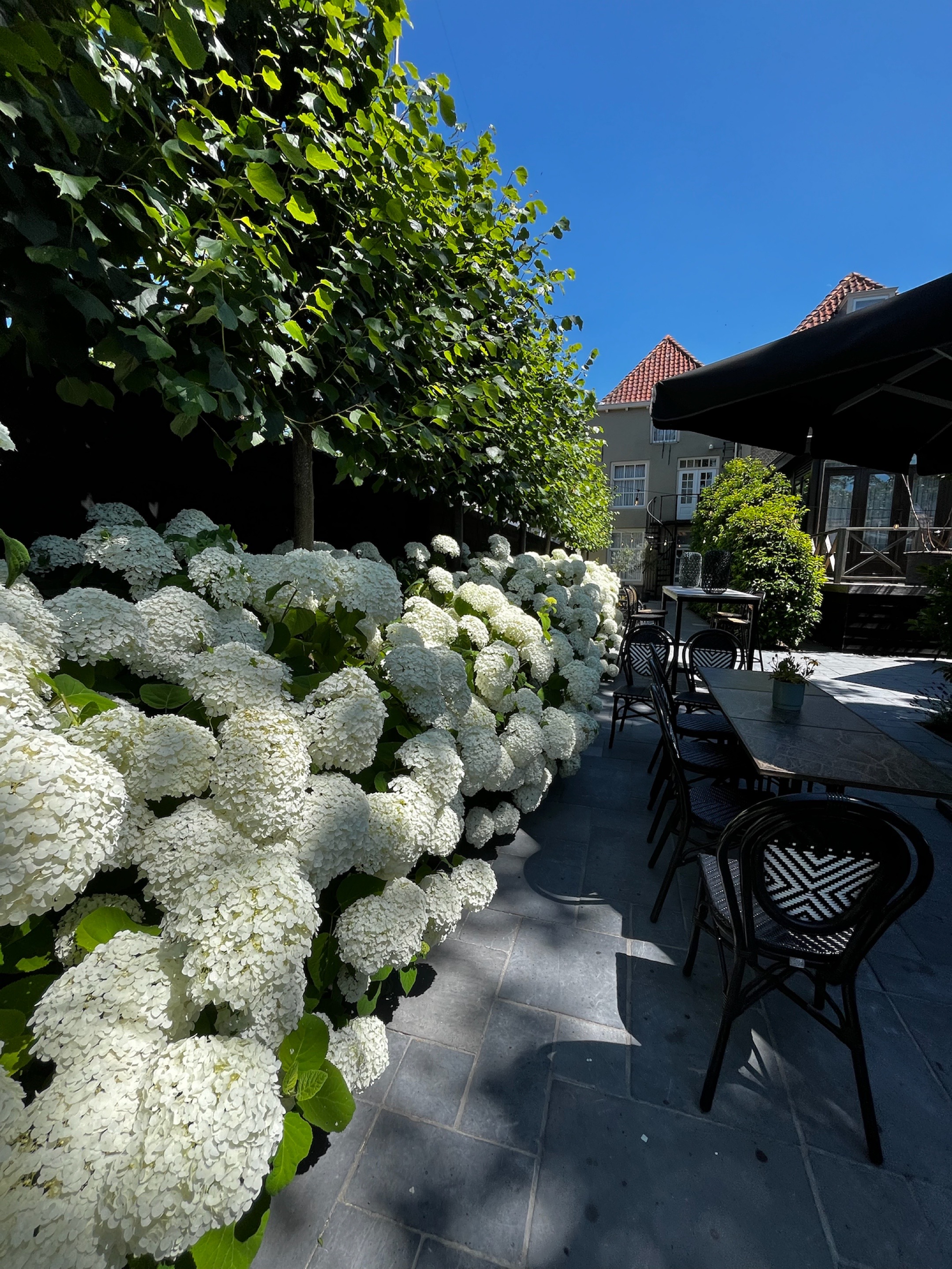 Spa and garden retreat